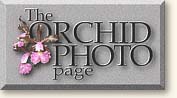 Orchid Photo Page logo