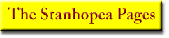 Stanhopea Pages Banner